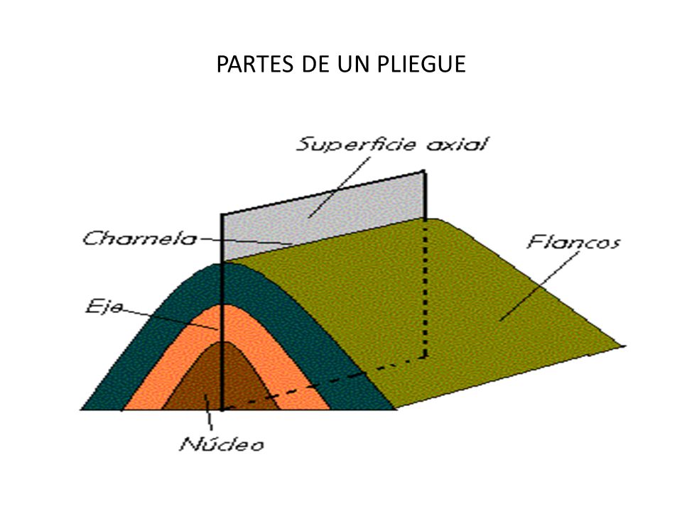 Uno pliegue Tacones altos público gay